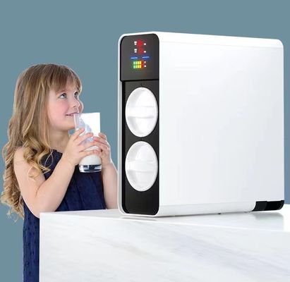 Purificador de água doméstico de carbono ativado PPC RO Filtro de água sob pia sem tanque